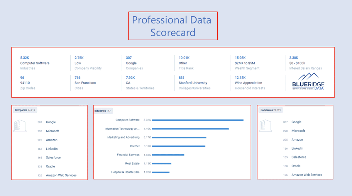 Professional Data Scorecard